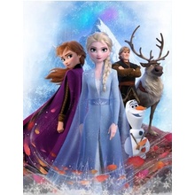 BrandMac Veľká dievčenská fleecová deka Ľadové kráľovstvo Frozen Elsa a Anna