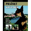 Pražský krysařík