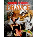 Dravce