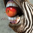 A-Z LP