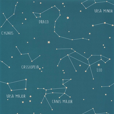Caselio 101916003 Vliesová tapeta na zeď OUR PLANET rozměry 0,53 x 10,05 m