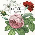 Workman Calendars The World of John Derian Wall Calendar 2027 | John Derian, Workman Calendars