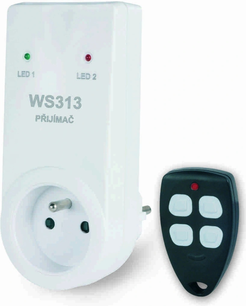 Elektrobock WS313