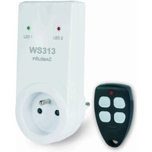 Elektrobock WS313