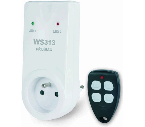 Elektrobock WS313