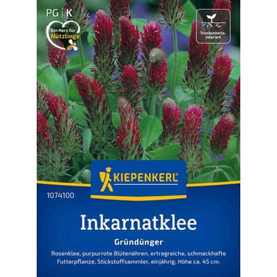Kiepenkerl Ďatelina purpurová 1 bal.