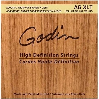 Godin Strings Acoustic Guitar XLT