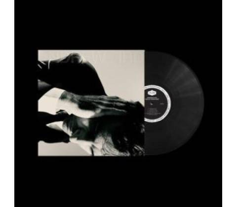 ANDREW BIRD - Inside Problems LP