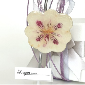 Meganflo Бяла налба