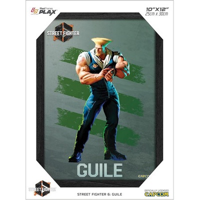 Pixel Frames PLAX Street Fighter 6: Guile 25x30, RET00391