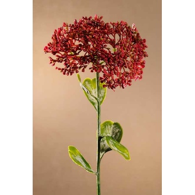 Paramit FULL BLOOM SEDUM Aranžovací květina vínová 46 cm