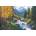 Cobble Hill - Puzzle Rocky Mountain High - 2 000 piese