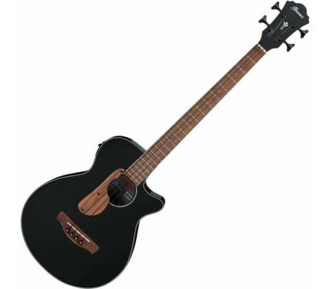 Ibanez AEGB24E