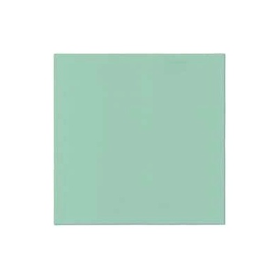 PAW AIRLAID Ubrousky L Monocolor light mint 50ks 40x40cm