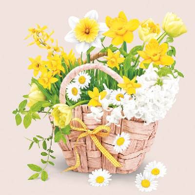 DAISY obedové obrúsky Everyday 33x33cm SD WI 007401 20ks