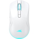 Baracuda Turtle-W BC (BGM-122W)
