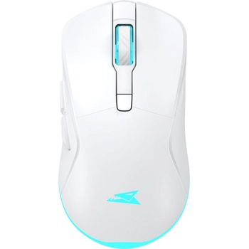 Baracuda Turtle-W BC (BGM-122W)