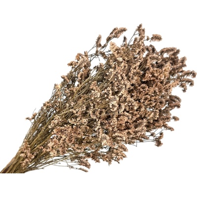 Stabilizované kvety Limonium sinensis 100g - béžové