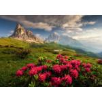 Dino - Puzzle Italian Dolomites - 2 000 piese
