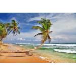 DIMEX ART Флизелинов фототапет красив широк плаж 375 x 250 см