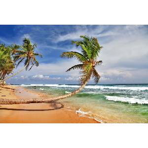 DIMEX ART Флизелинов фототапет красив широк плаж 375 x 250 см