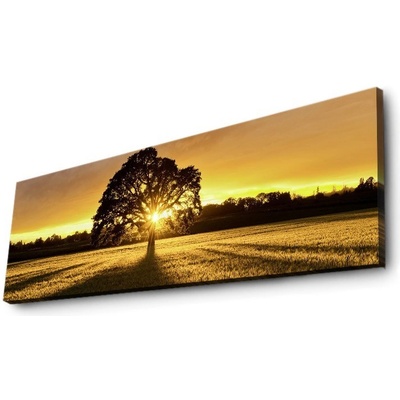 ASIR Obraz na plátně s led osvětlením ZÁPAD SLUNCE 30 cm