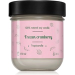 TROPIKALIA Frozen Cranberry ароматна свещ 170ml