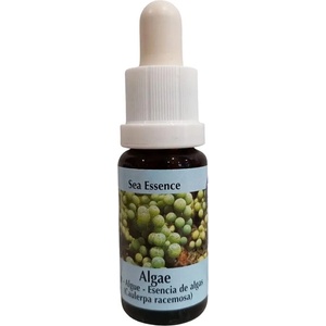 PHI Essences Стимулира самолечението - Есенция Водорасли № 1, капки 15 ml (1 SEA)