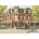 Cobble Hill - Puzzle Prince of Wales - 1 000 piese