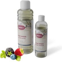 Chemoform Camena Spa saunová esencia Lesné ovocie 250 ml