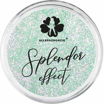 Trblietky na nechty Splendor effect 2