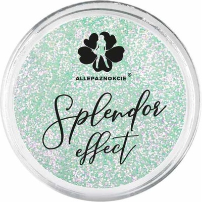 Trblietky na nechty Splendor effect 2