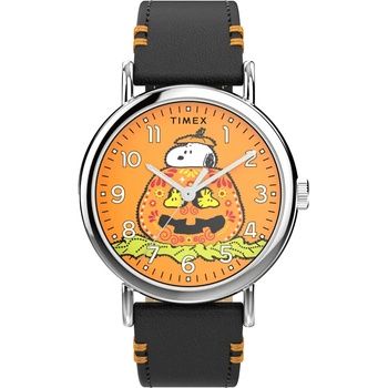 Timex TW2Y12300