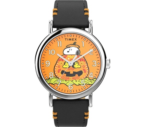 Timex TW2Y12300