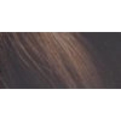 Revolution Haircare Plex Bond Restore Toner Kit Chestnut 90 ml