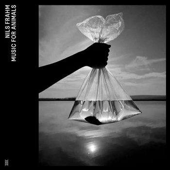 Image 1 of Nils Frahm - Music For Animals (4 LP) (4050538806830)
