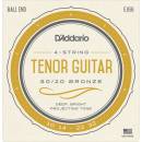D'Addario EJ66