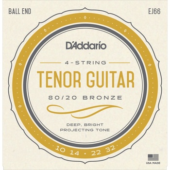 D'Addario EJ66