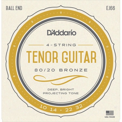 D'Addario EJ66