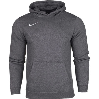 Nike Y NK FLC PARK20 PO HOODIE cw6896-071 – Zboží Mobilmania