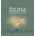 Žilina