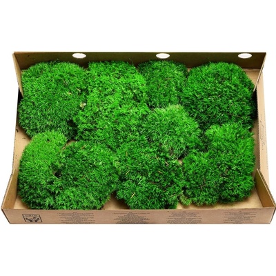 MACH BOLMOS preparovaný / 500g box, BOCHNÍČKY