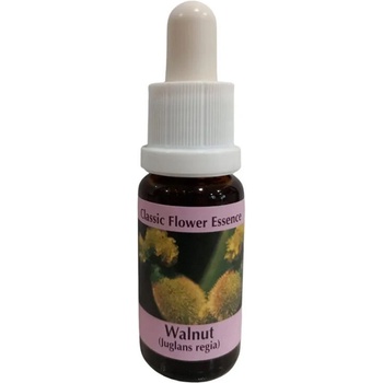 PHI Essences Есенция Орех № 33, капки 15 ml | PHI Essences (33 CLASSIC)