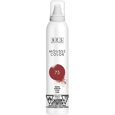 Bes barevné pěnové tužidlo 75 mahagonová 200 ml