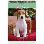 Lizzycalendar Настен календар lizzycalendar b/4, вертикален, със спирала, „Кучета 2027 (7540226001)