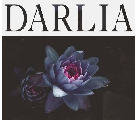 DARLIA: PETALS, CD