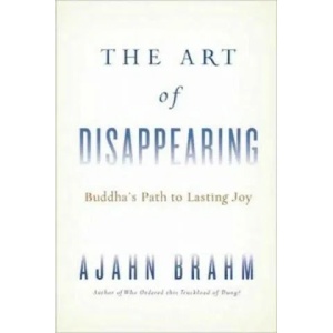 Art of Disappearing (2011)