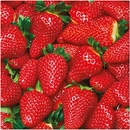 PAW servítky L Raw Strawberries 33x33cm
