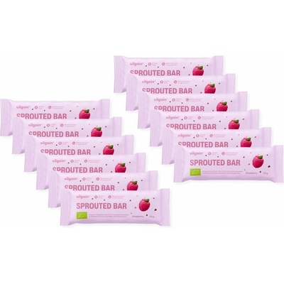 Vilgain Sprouted Energy Bar BIO 12 x 35 g