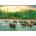 EUROGRAPHICS - Puzzle Save Our Planet: Rain Forest - 1 000 piese
